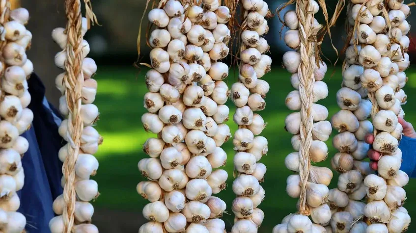 Daily Fethiye Tuesday Market Tour from Dalyan – Paspatur & Kayakoy (Shared) — photo 3