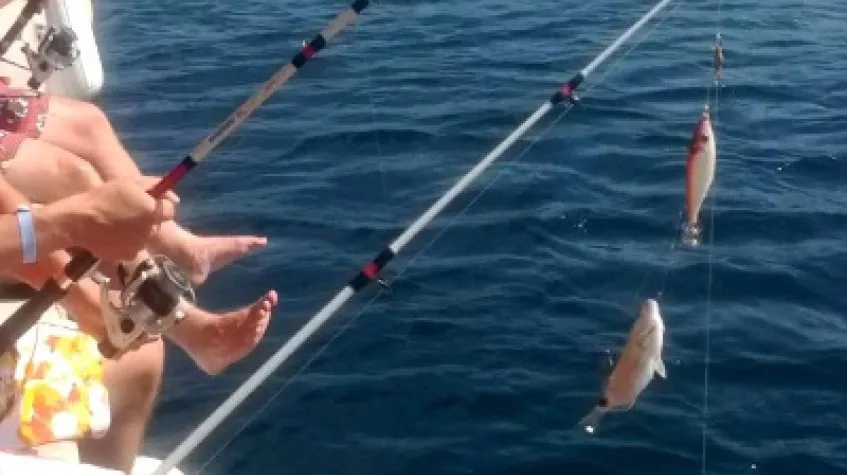 Daily Fishing Tour Bodrum — photo 2
