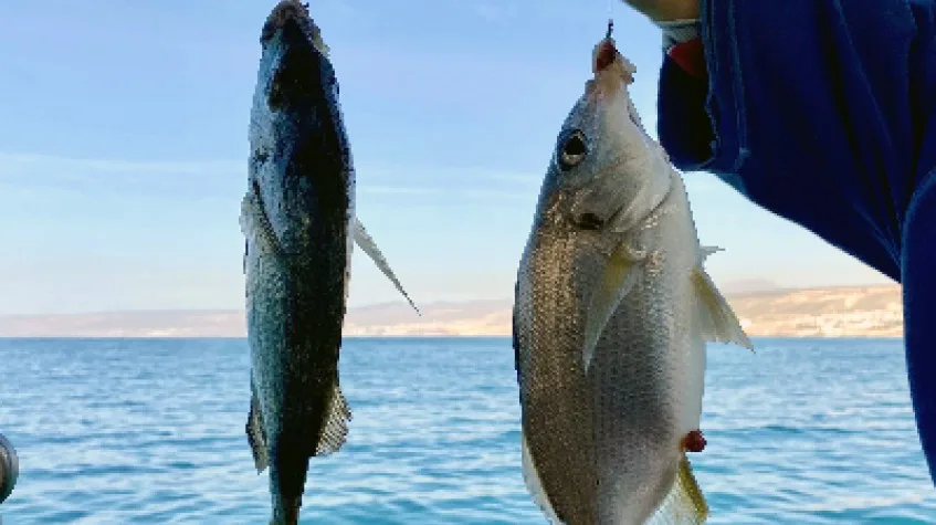 Daily Fishing Tour Bodrum — photo 6