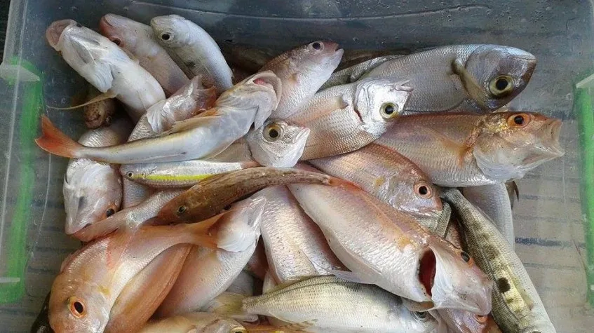 Daily Antalya Fishing Tour by Boat — photo 6