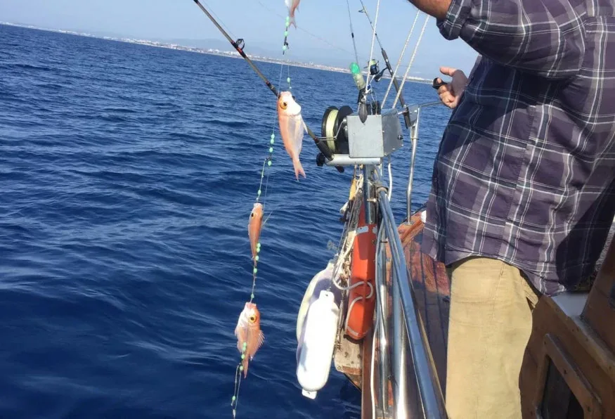 Daily Fishing Trip from Marmaris – Half-Day Boat Fishing in the Bay — photo 3