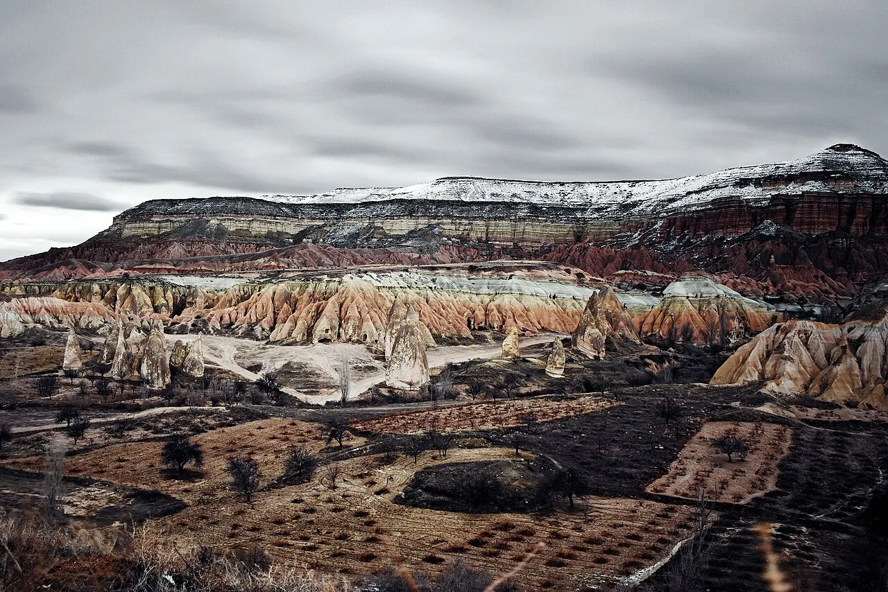 Daily Grape Harvest Tour from Cappadocia – Jeep Ride & Pekmez Making (Shared) — photo 6
