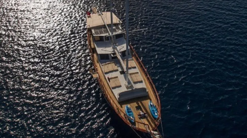 Daily Private Gulet Charter in Bodrum – Aegean Bays, Swim & Lunch