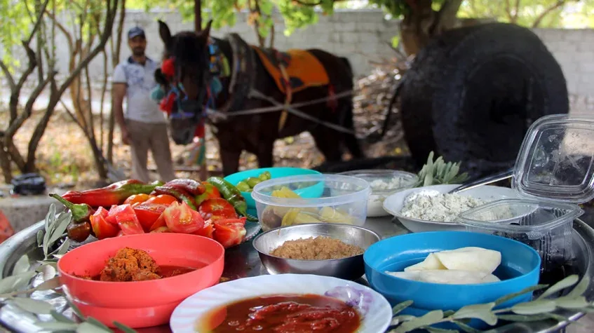 Daily Hatay Olive Oil Tasting Tour – Private Culinary Experience — photo 6