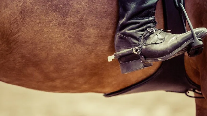 Daily Horse Riding Tour Bodrum — photo 2