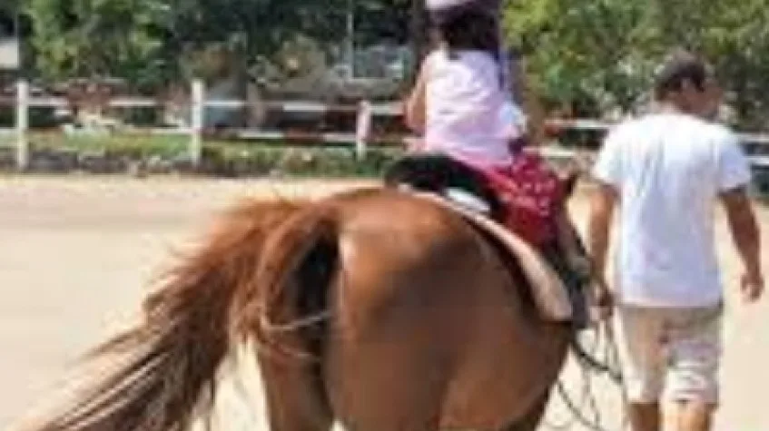 Daily Horse Riding Tour Bodrum — photo 3