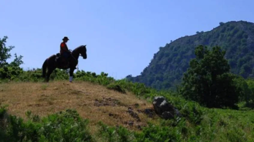 Daily Horse Riding Tour Bodrum — photo 5