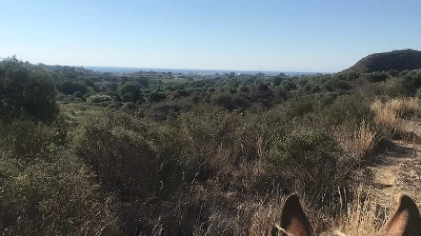 Daily Horse Riding Tour Bodrum — photo 7