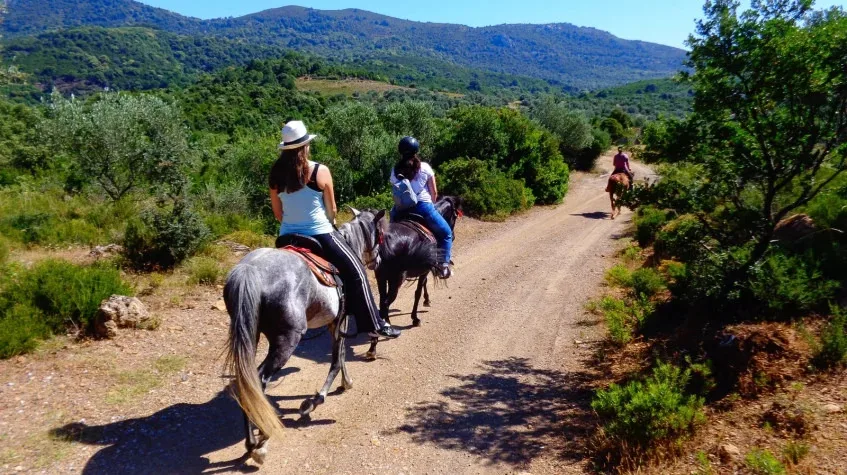Daily Horse Riding Tour on Patara Beach – Beginner Friendly — photo 2