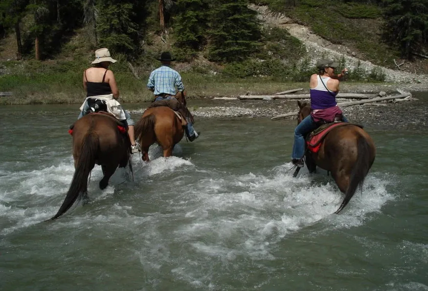 Daily Horse Riding Tour on Patara Beach – Beginner Friendly — photo 3