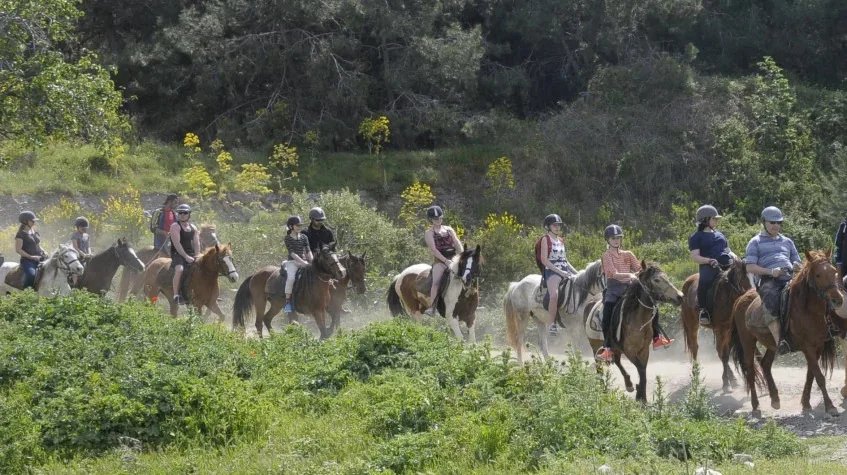 Kuşadası Horse Safari Tour — Ride to Pamucak Beach — photo 2