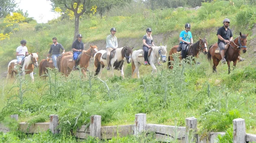 Kuşadası Horse Safari Tour — Ride to Pamucak Beach — photo 4