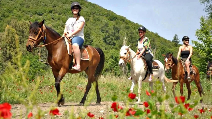 Kuşadası Horse Safari Tour — Ride to Pamucak Beach — photo 9