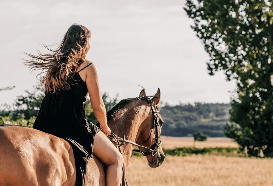 Daily Horse Safari Tour from Selcuk