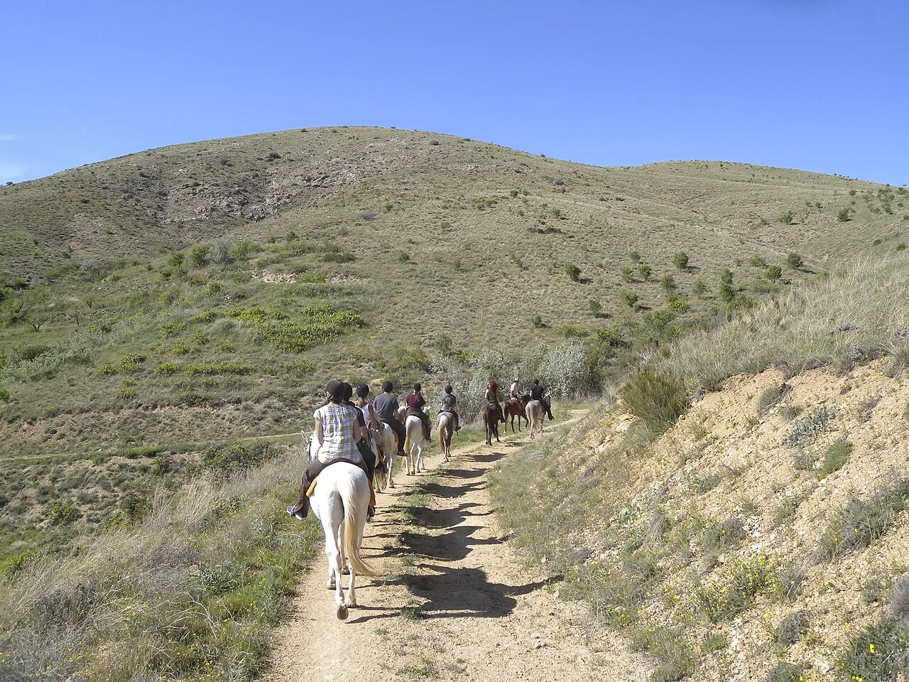 Daily Horseback Riding Tour from Marmaris – Village, Forest & Sea Views — photo 12