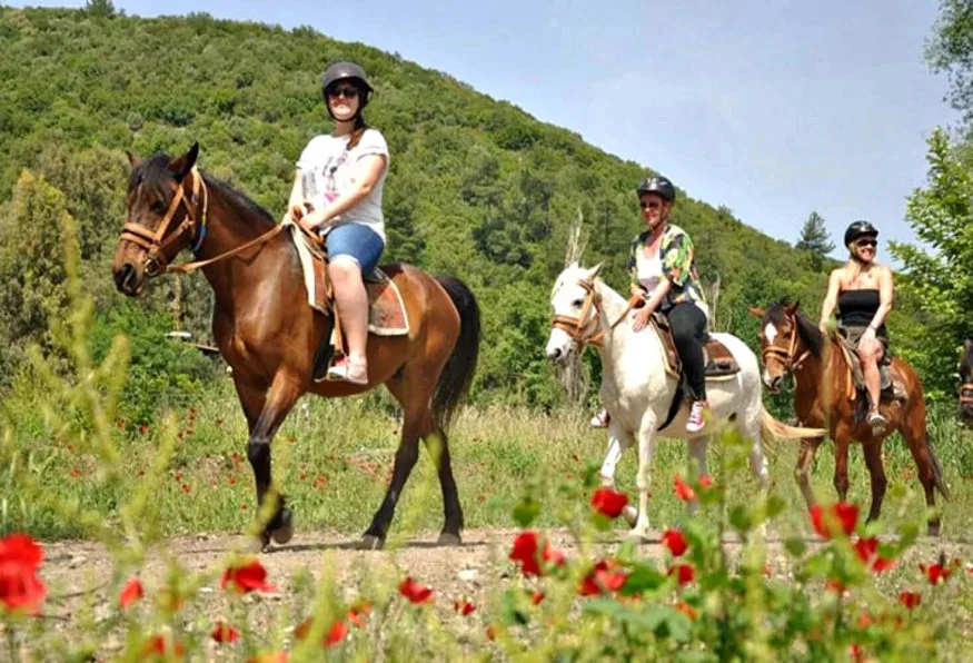 Daily Horseback Riding Tour from Marmaris – Village, Forest & Sea Views