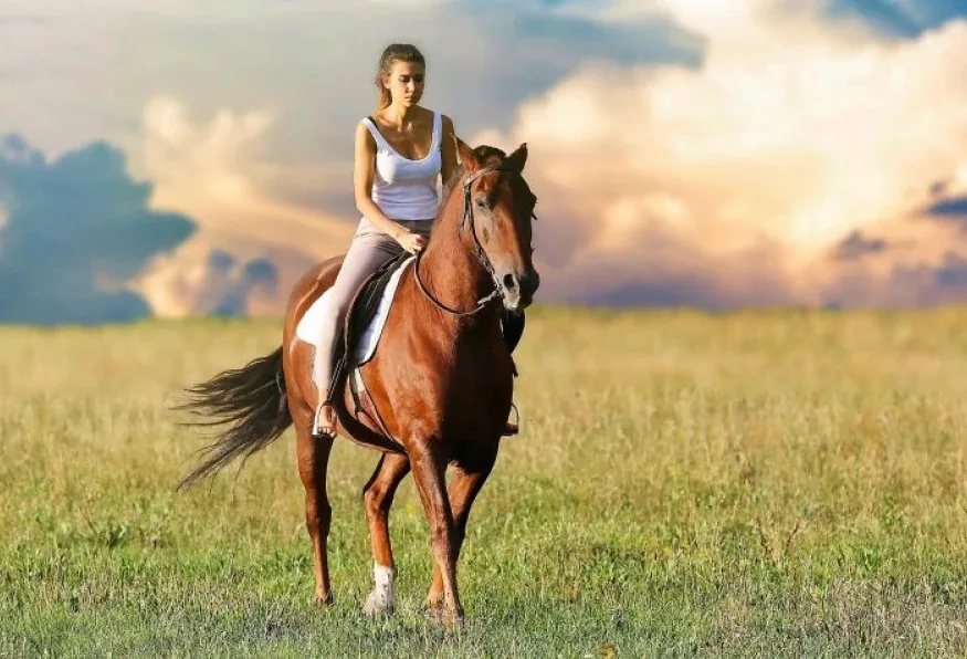 Daily Horseback Riding Tour from Marmaris – Village, Forest & Sea Views — photo 3