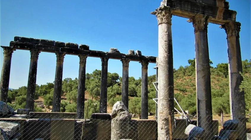 Daily Iasos & Euromos Tour from Didim – Temple of Zeus Lepsynos & Agora — photo 3