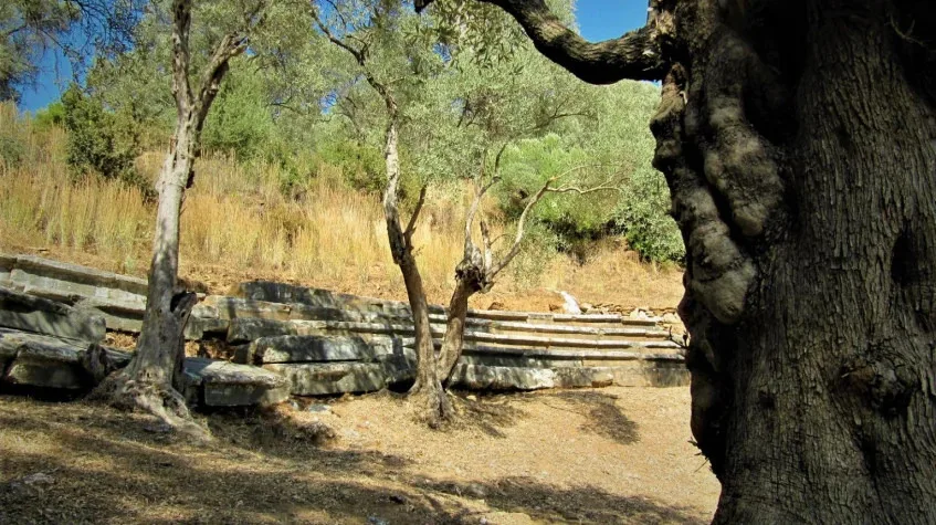 Daily Iasos & Euromos Tour from Didim – Temple of Zeus Lepsynos & Agora — photo 5