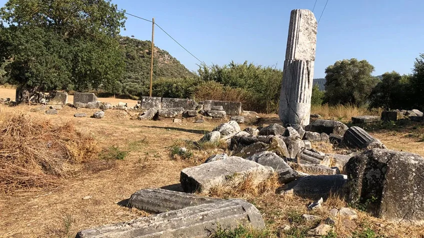 Daily Iasos & Euromos Tour from Didim – Temple of Zeus Lepsynos & Agora — photo 7