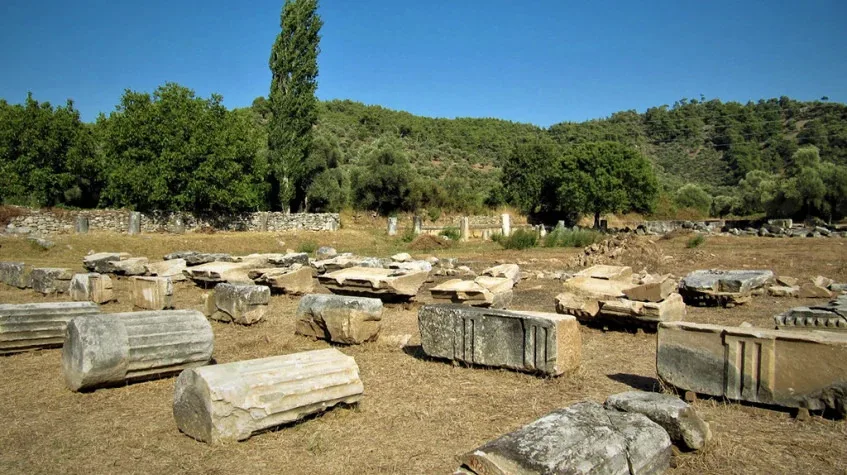 Daily Iasos & Euromos Tour from Didim – Temple of Zeus Lepsynos & Agora — photo 8