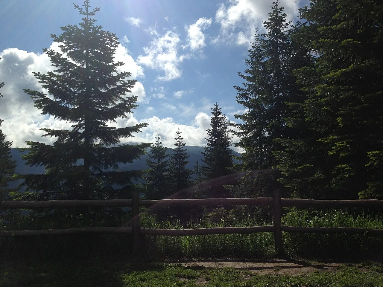 Daily Ilgaz Mountains Tour from Kastamonu — photo 3