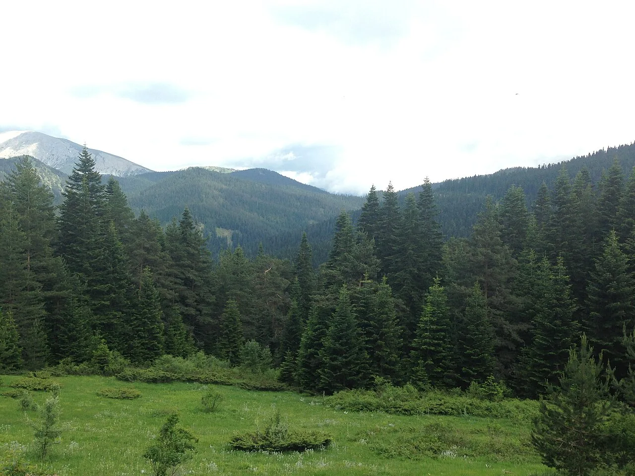 Daily Ilgaz Mountains Tour from Kastamonu — photo 4