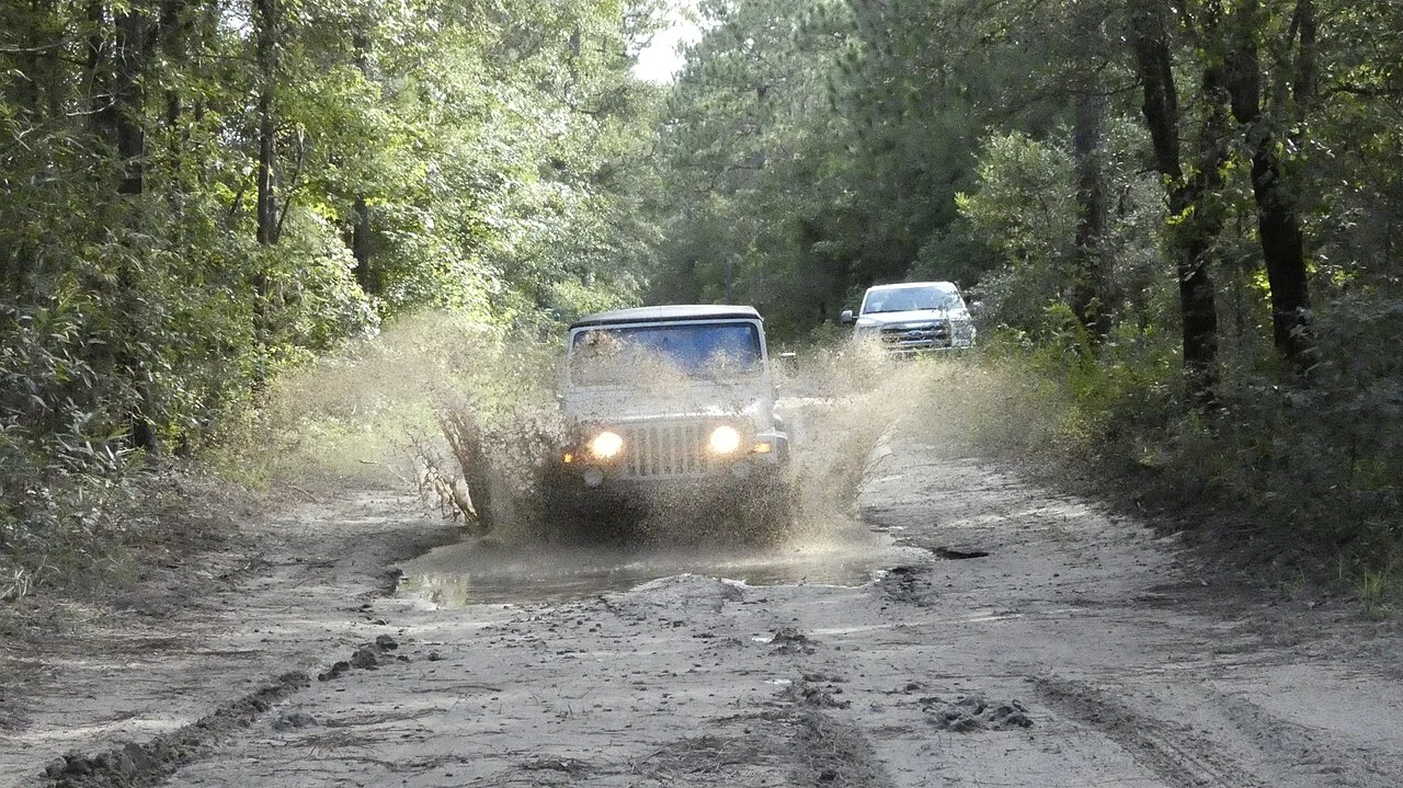 Jeep Safari from Istanbul – Off-Road Trails, Canyons & Forest Streams — photo 5