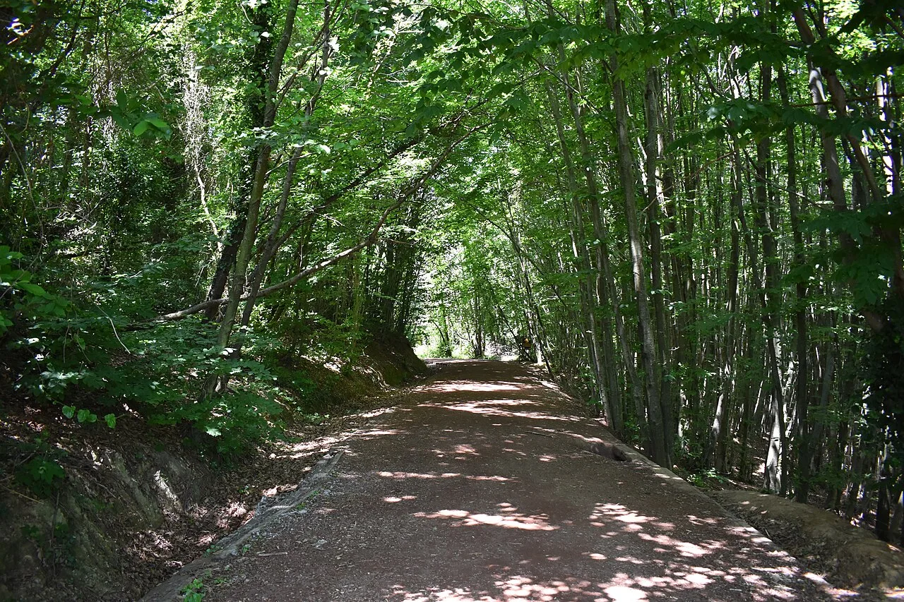 Jeep Safari from Istanbul – Off-Road Trails, Canyons & Forest Streams — photo 7