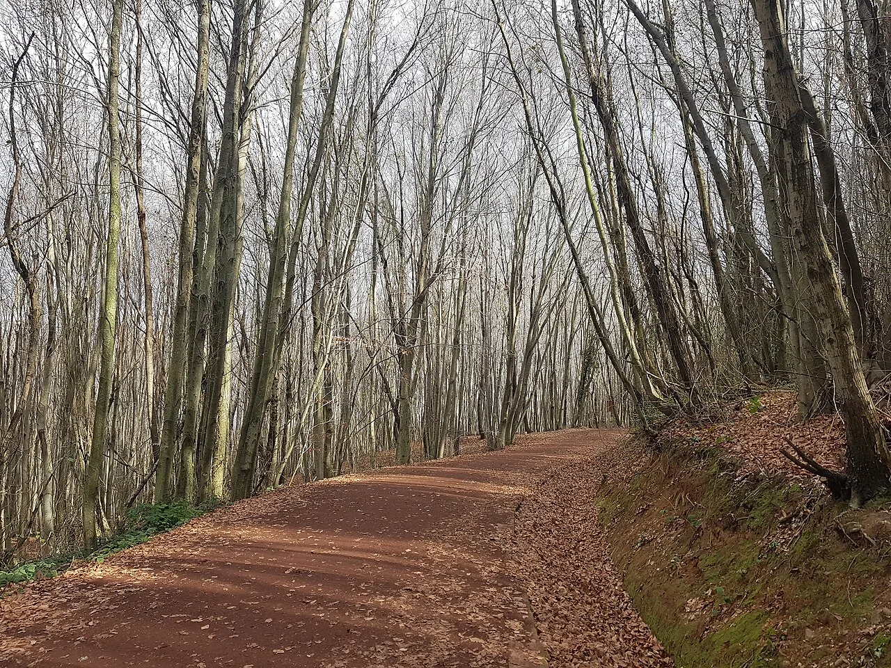 Jeep Safari from Istanbul – Off-Road Trails, Canyons & Forest Streams — photo 11