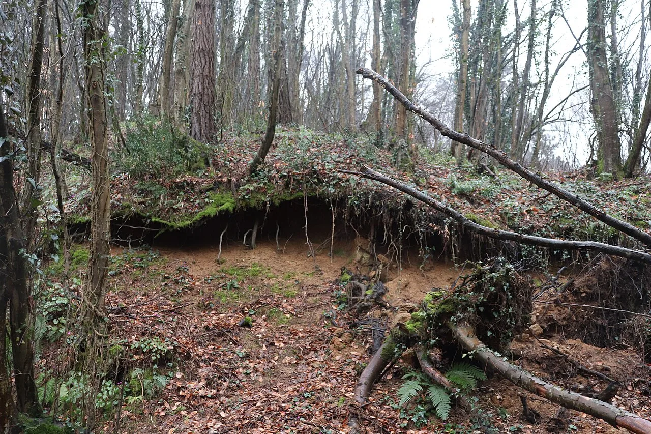 Jeep Safari from Istanbul – Off-Road Trails, Canyons & Forest Streams — photo 12