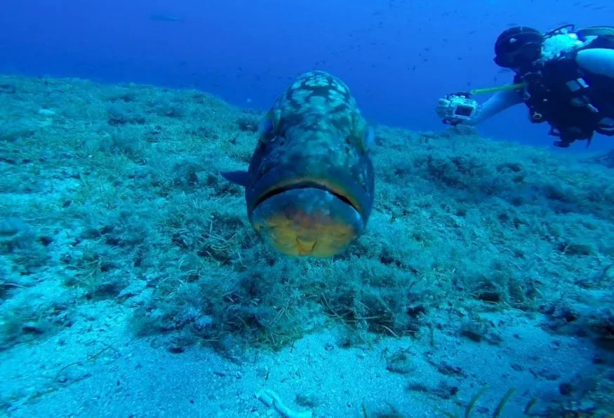 Kas Scuba Diving Tour – Daily Mediterranean Dive Experience (Private) — photo 3