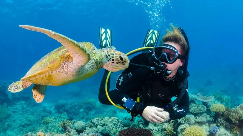 Kas Scuba Diving Tour – Daily Mediterranean Dive Experience (Private) — photo 5