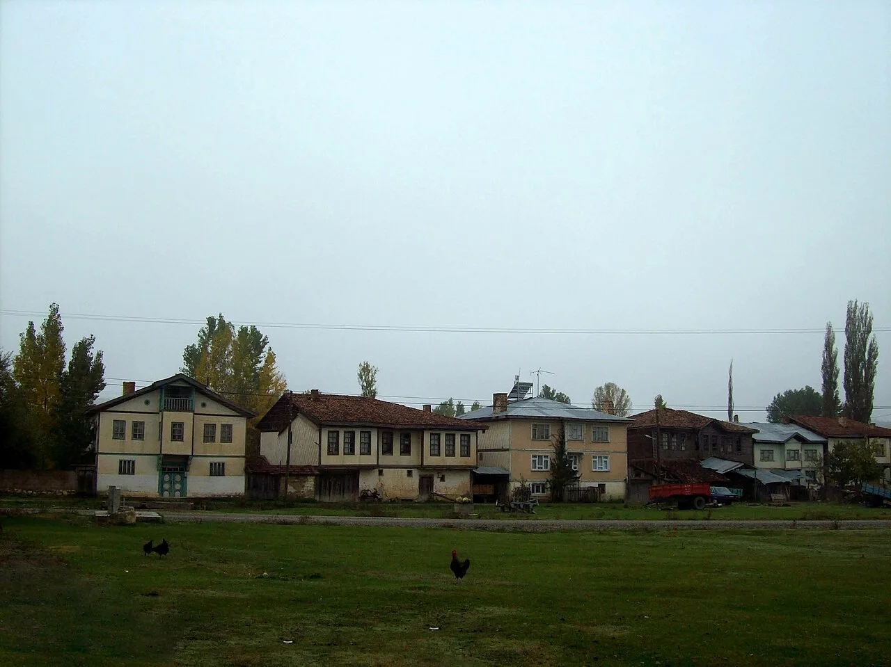 Horse Farm Day Tour from Kastamonu – Ride at Daday & Visit Tasci Pond — photo 2