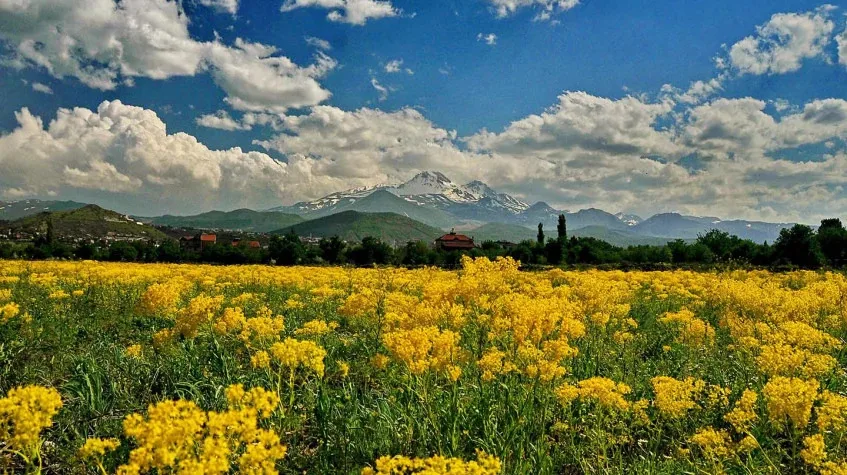 Full Day Kayseri City and Valleys Tour — photo 4