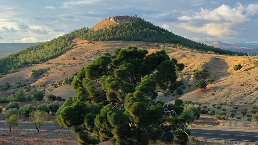 Daily Kilis City Tour from Kirsehir — photo 8