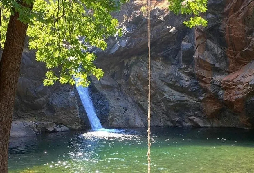Daily Koycegiz Market and Mud Bath Tour from Mugla — photo 2