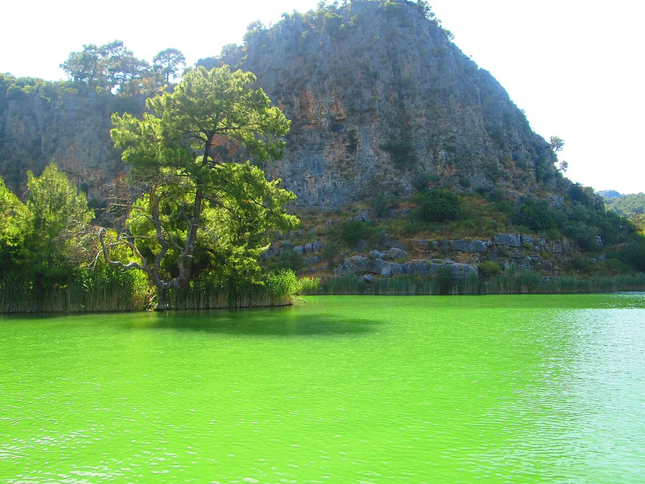 Koycegiz Market & Sultaniye Mud Bath Tour from Dalyan – Lakeside BBQ — photo 8