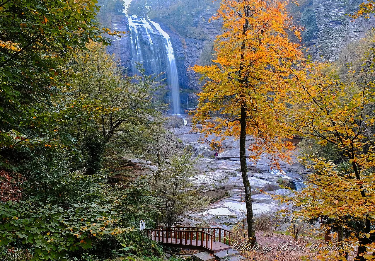 Daily Manyas Bird Paradise Tour from Bergama – Suuctu Waterfall (Shared) — photo 6