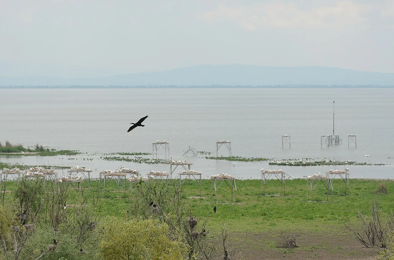 Daily Manyas Bird Paradise Tour from Bergama – Suuctu Waterfall (Shared) — photo 7