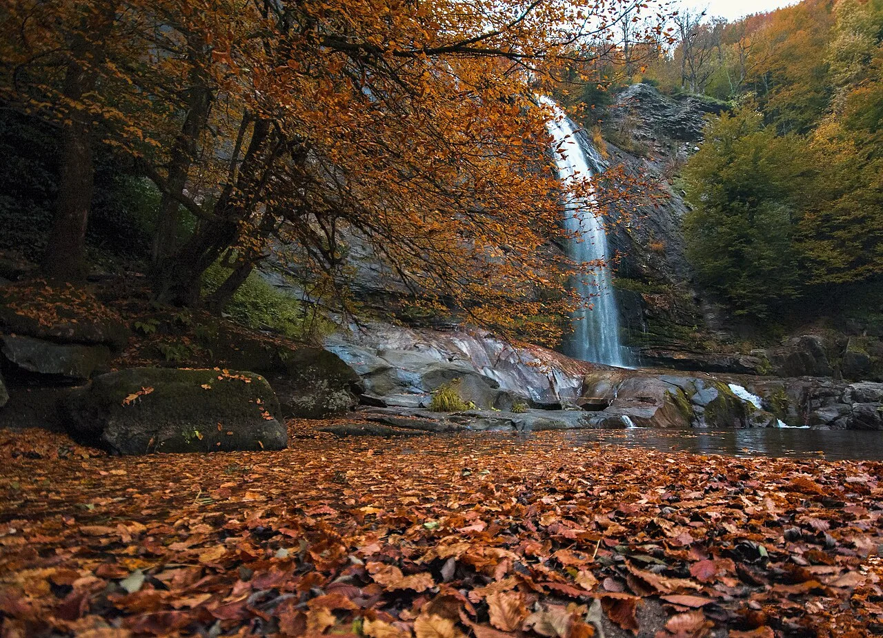 Daily Manyas Bird Paradise Tour from Bergama – Suuctu Waterfall (Shared) — photo 11