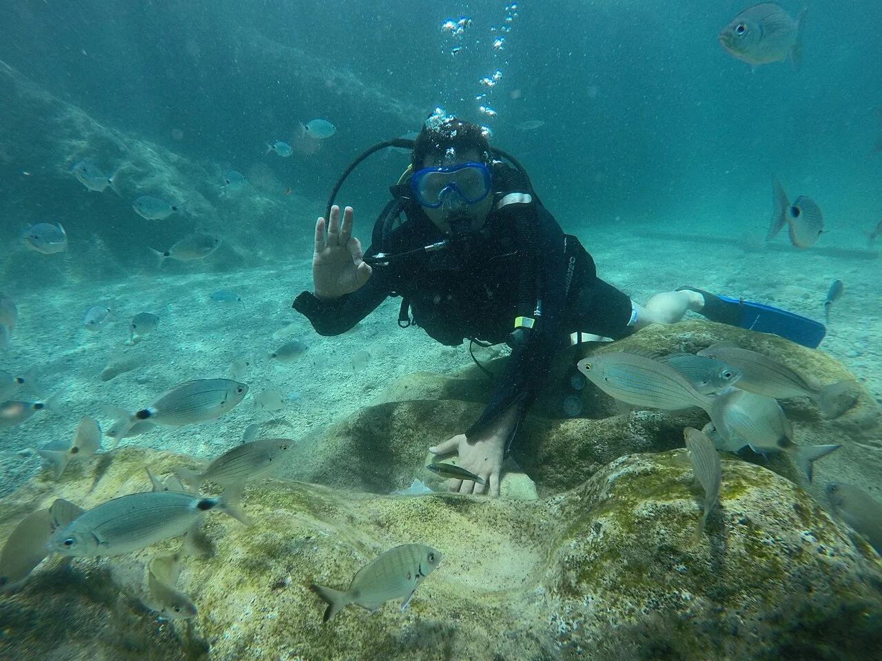 Daily Scuba Diving Tour from Marmaris – Two Dive Sites & Boat Lunch — photo 2