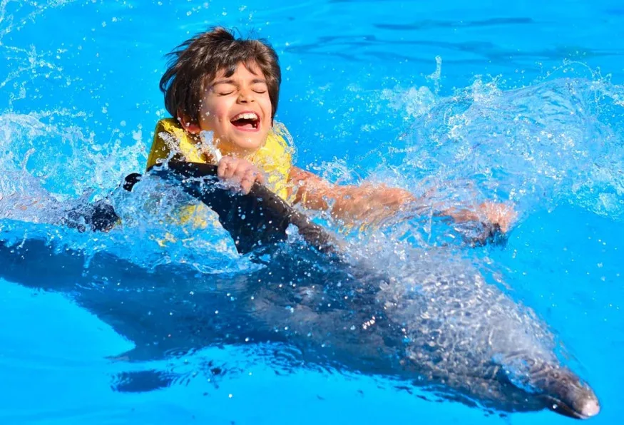 Daily Marmaris Dolphin Show from Marmaris – Dolphinarium Visit — photo 4