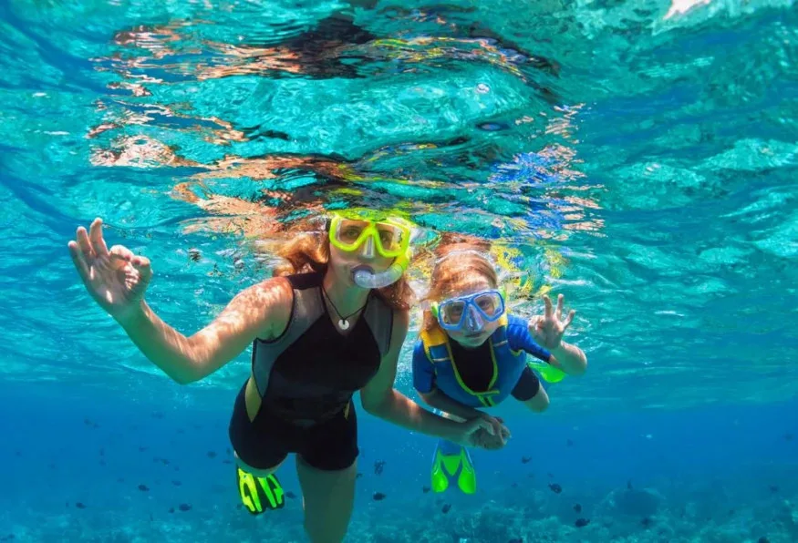 Swim with Dolphins Tour from Marmaris – Dolphin Park Experience