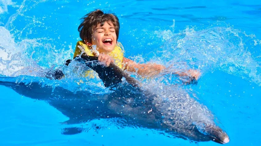 Swim with Dolphins Tour from Marmaris – Dolphin Park Experience — photo 2