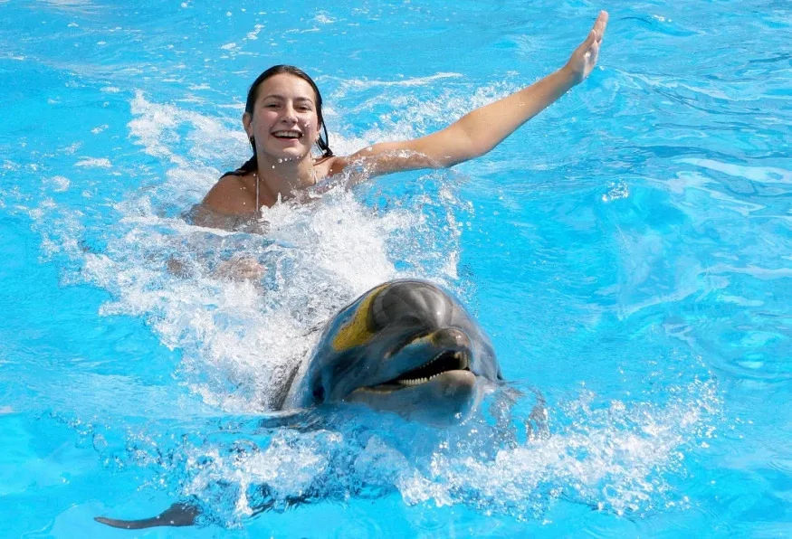 Swim with Dolphins Tour from Marmaris – Dolphin Park Experience — photo 4