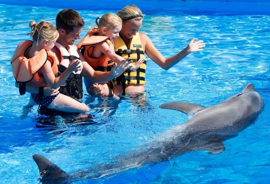 Swim with Dolphins Tour from Marmaris – Dolphin Park Experience — photo 5