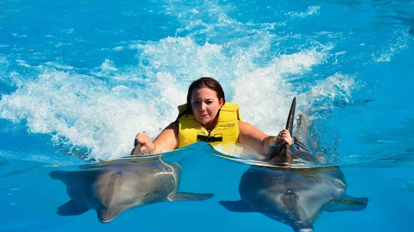 Swim with Dolphins Tour from Marmaris – Dolphin Park Experience — photo 6