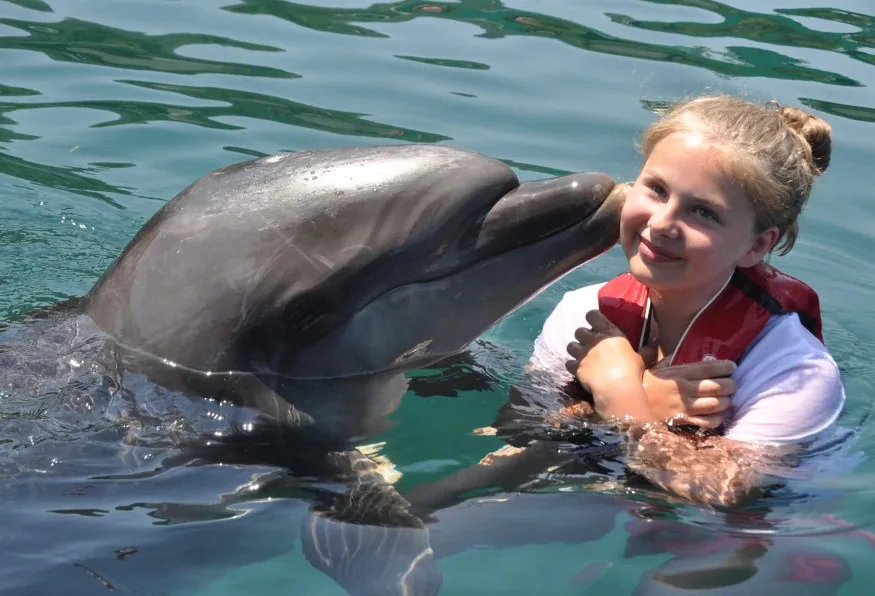 Swim with Dolphins Tour from Marmaris – Dolphin Park Experience — photo 7