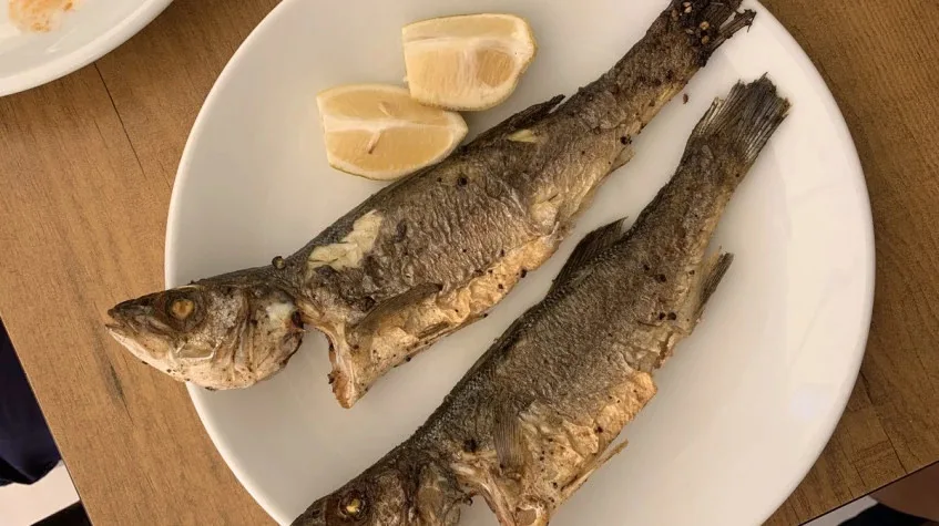 Daily Fishing Tour from Oludeniz – Boat Fishing & Grilled Catch Lunch — photo 4